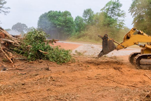 Forestry Mulching Service in Spring