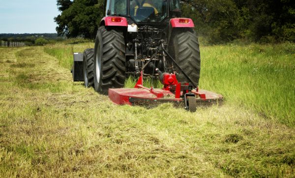 Brush Clearing Service in Spring